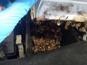 air filter V&F Auto Agwam MA 01001