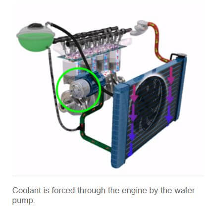 Coolant, Cooling System Coolant exchance V&F Agawam MA 01001