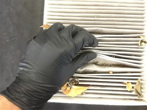 change the cabin air filter 